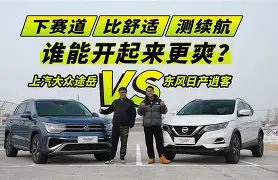 半岛体育APP-北美在哪个战队